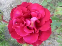 020.webp