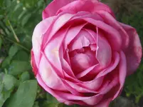 021.webp
