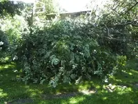 BILD5210.webp