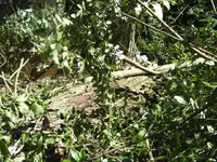BILD5213.webp