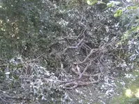 BILD5234.webp