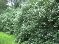 BILD5204.webp