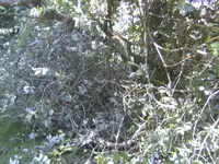 BILD5217.webp