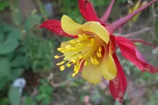 SAM_1643.webp
