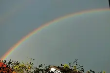 DSCF6500 (2).jpg