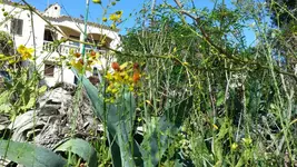 20160623_174532_resized.webp