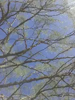 20160623_174628_resized.webp