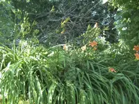 BILD5235.webp
