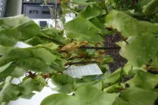 20160625(110319)03460.webp