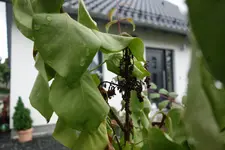 20160625(110336)03464.webp