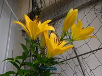 140.webp