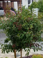 20160625_165447.webp
