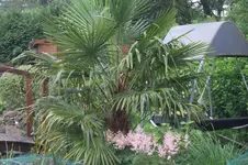 SAM_1649.webp