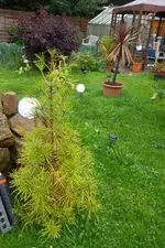 SAM_1658.webp