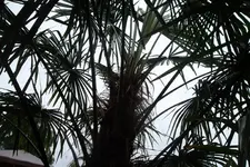 SAM_1668.webp