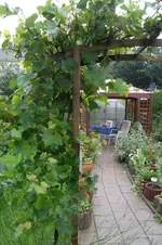 SAM_1672.webp
