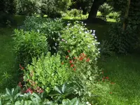BILD5176.webp