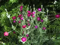 BILD5177.webp