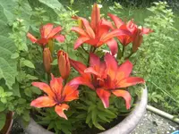BILD5184.webp