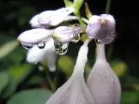 015_1024x768.webp