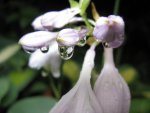 015_1024x768.JPG