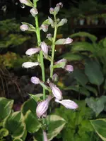 018_576x768.webp