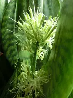 CIMG2727.webp