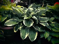 DSCI0144.webp