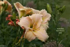 IMG_1760-2.webp