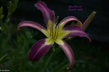 IMG_1774-2.webp