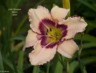 IMG_1784-2.webp