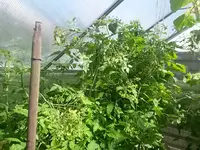 20160626_113109.webp