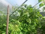 20160626_113109.jpg