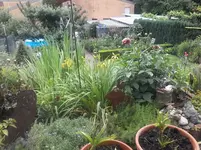 20160626_121044.jpg
