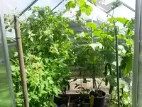 20160626_113131.jpg