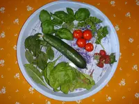 148.webp