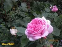 IMG_6271.JPG