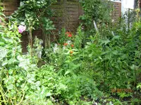 IMG_6480.webp