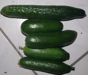k-P1110596.JPG