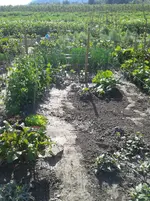 20160625_090450.jpg