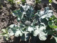 20160625_090557.webp 20160625_090557.webp