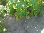 20160625_090754.jpg