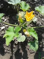 20160625_090819.webp