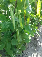 20160625_090523.webp 20160625_090523.webp