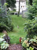 004_576x768.webp