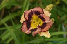 comp_DSC05213.webp