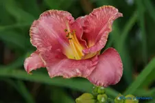 comp_DSC05230.webp