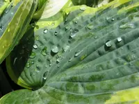 006_1024x768.webp