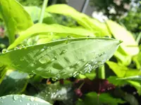 007_1024x768.webp
