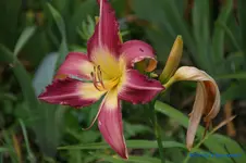 comp_DSC05233.webp